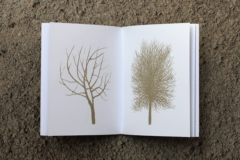 livro inverno