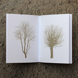 livro inverno