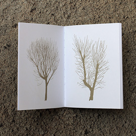 livro inverno