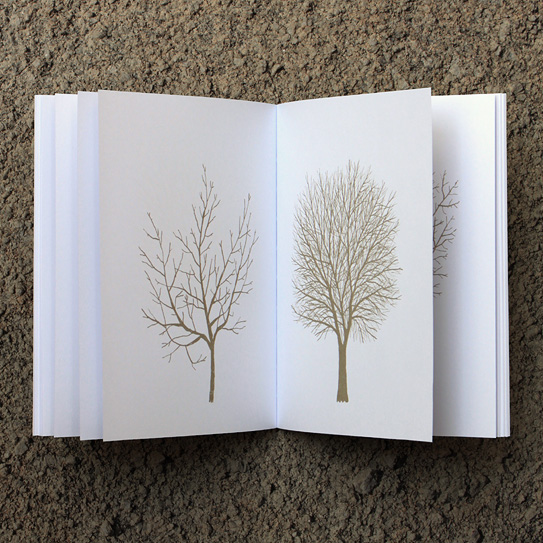 livro inverno