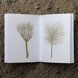 livro inverno