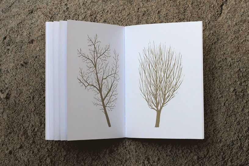 livro inverno